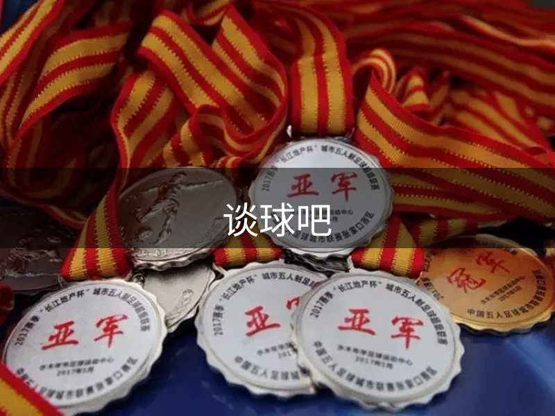 网站概况